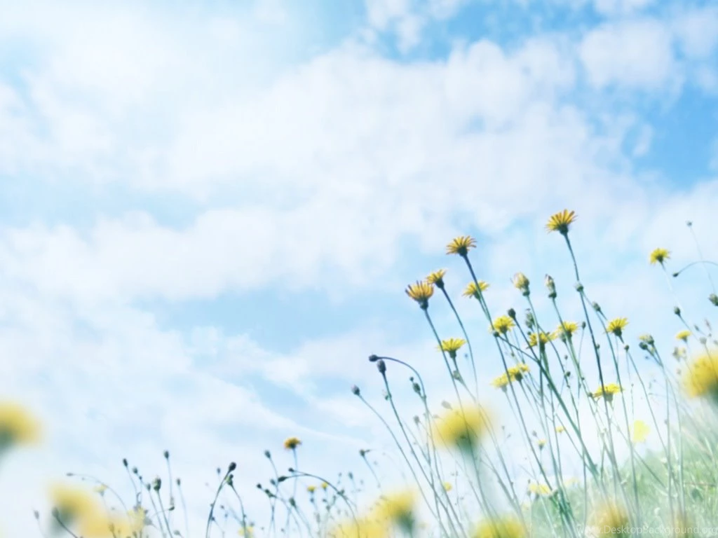 Dreamy Summer : Water, Air And Greeny Wallpapers 1024x768 NO.25 ...