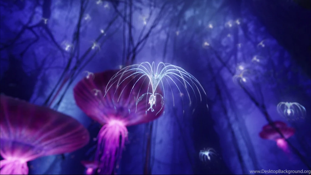 Bibliography Avatar Movie Project