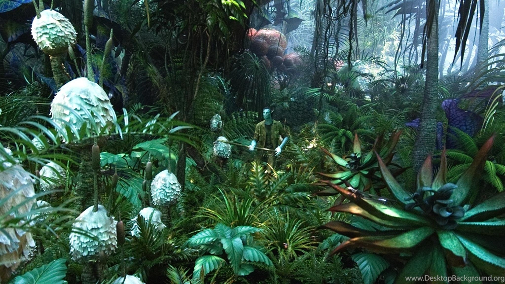 Avatar Wallpapers