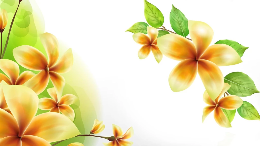 Frangipani Wallpapers Wallpapers Cave