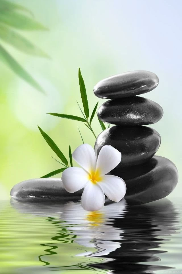 640x960 Mobile Phone Wallpapers Download 34 640x960 ...