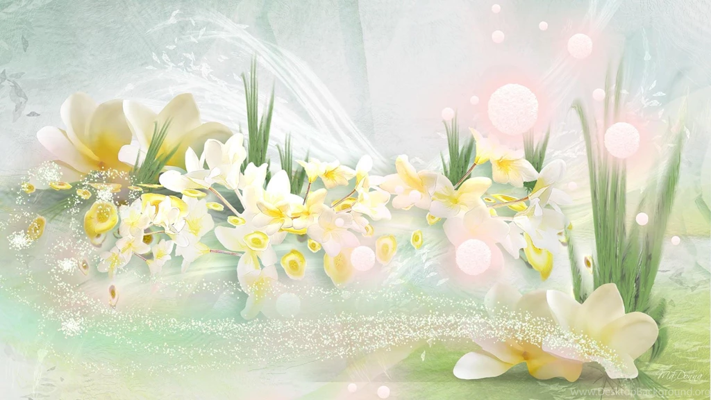 Frangipani Wallpapers >> Backgrounds With Quality HD