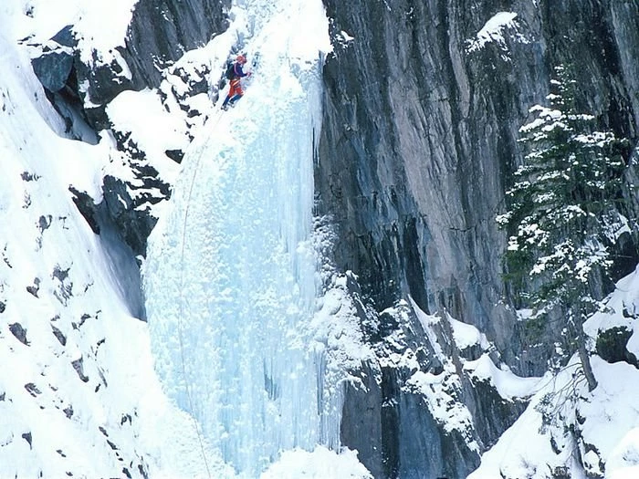 Snow Skiing   Alpine Skiing Wallpapers 12   Wallcoo.net