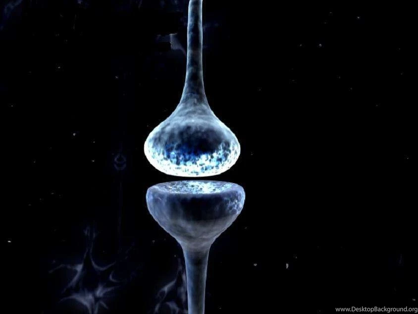 Neuroscience Wallpapers