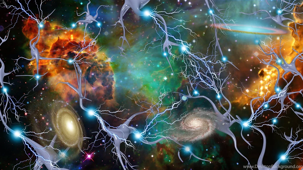 Module Five (pre req Modules 1 4)