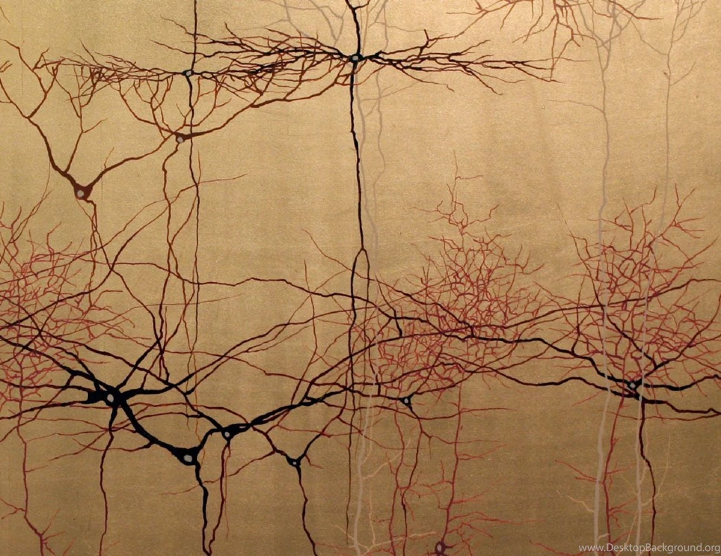 Art Inspired By Neuroscience RobotSpaceBrain