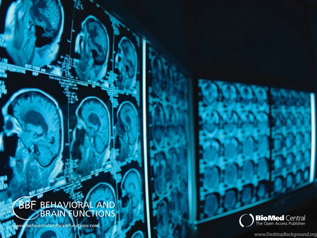 Fonds D'écran Neuroscience : Tous Les Wallpapers Neuroscience