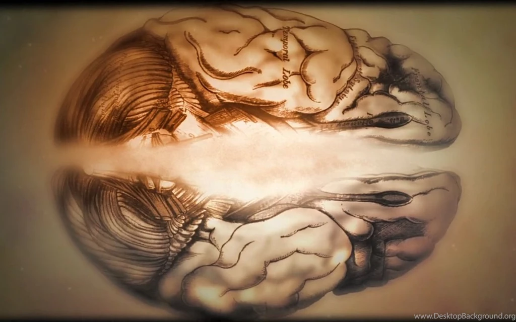 Thoughts On The Neuroscience Of Style And Joyce's Ulysses