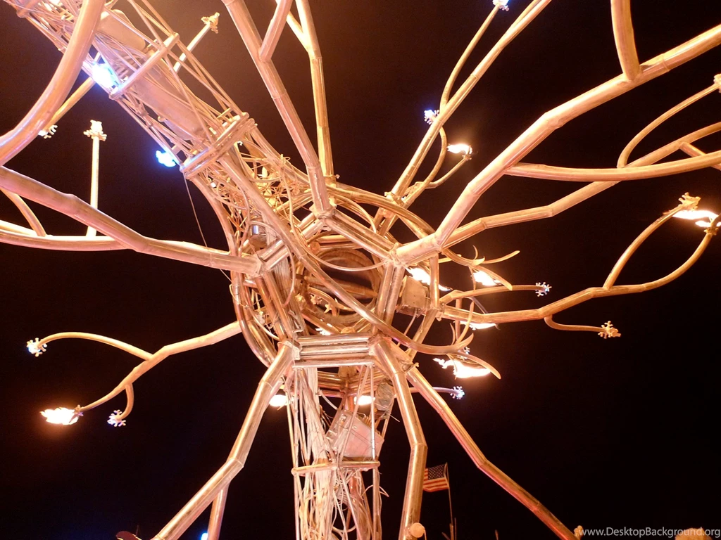 Could Neuroscience Help Organizational Change?