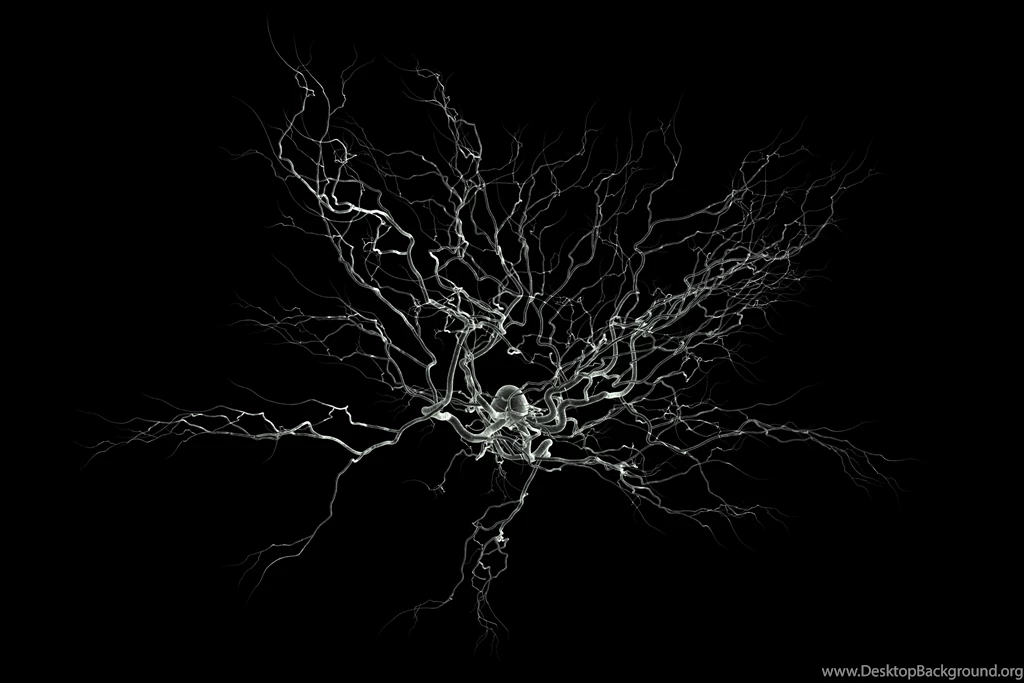 Neuroscience Wallpapers
