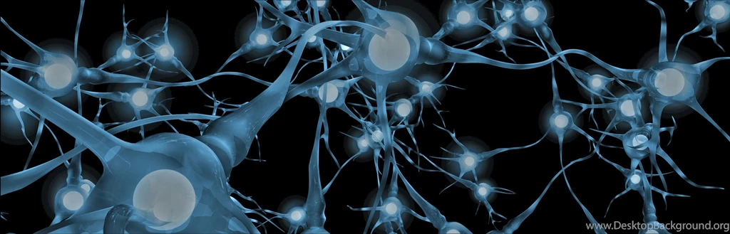Neuroscience Wallpapers