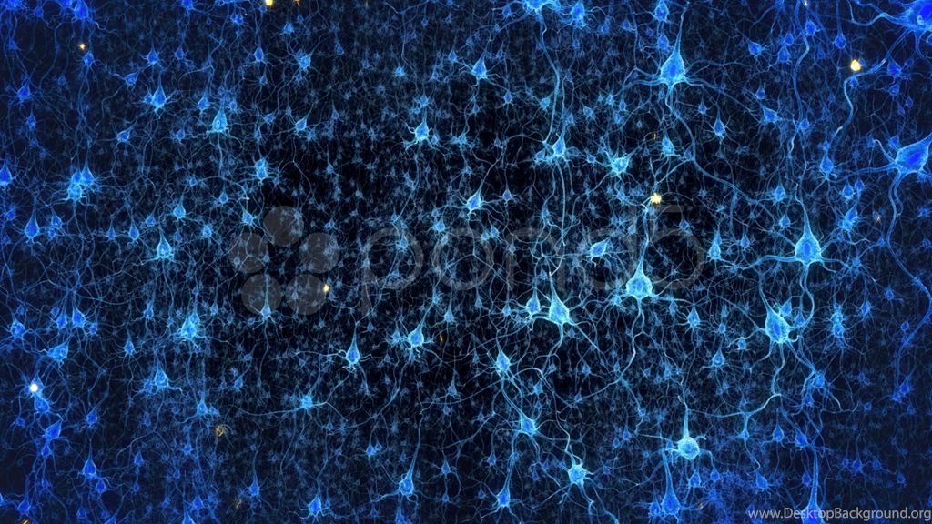 Neuron Fly Through 2 Stock Video 2114664