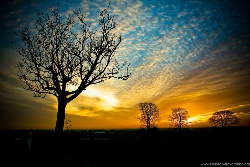 Information & Technology: Nature Wallpapers Desktop