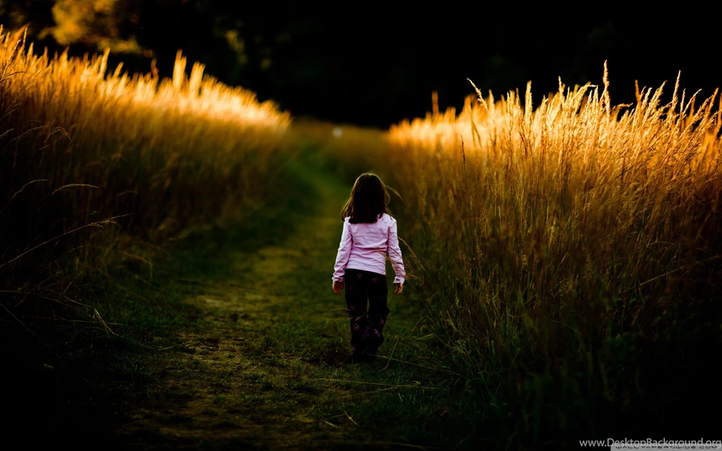 A Walk In Nature Wallpapers Full HD [2560x1600]   Free Wallpapers ...
