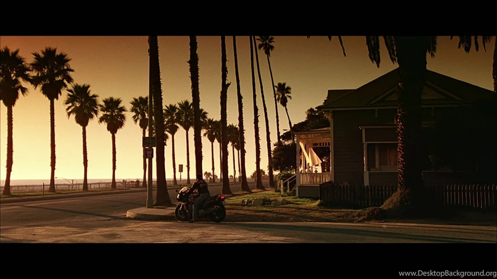 Rick's Cafe: [1] Film Kultowy: Top Gun 1986