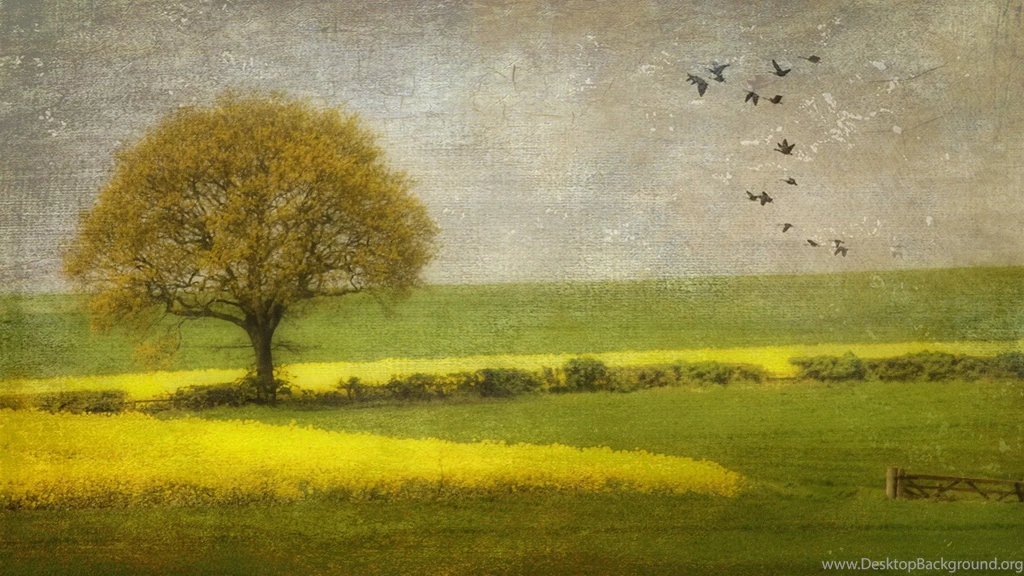 Painted Rose And Water Desktop Wallpapers