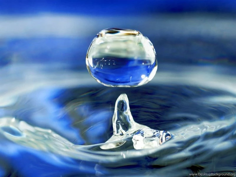 Free New Animated Wallpapers For Desktop