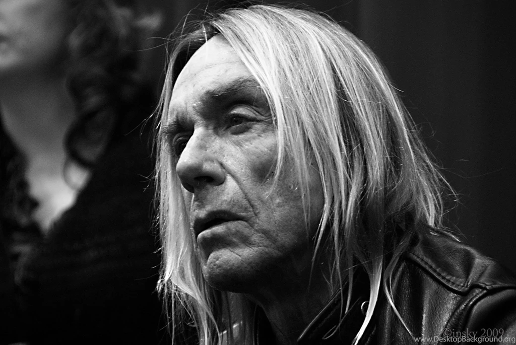 11 Iggy Pop HD Wallpapers