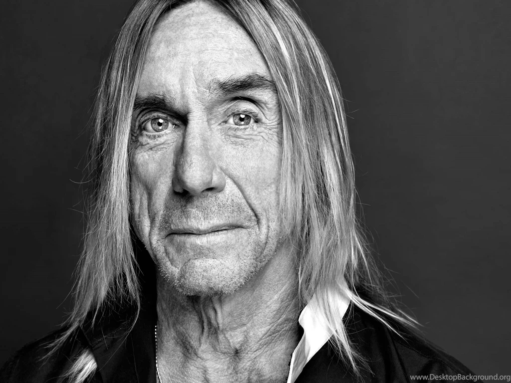 15 Quality Iggy Pop Wallpapers, Celebrity