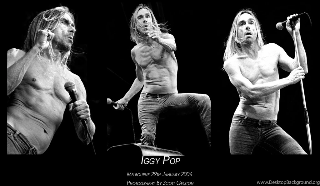 DeviantArt: More Like Iggy Pop By PixPimper