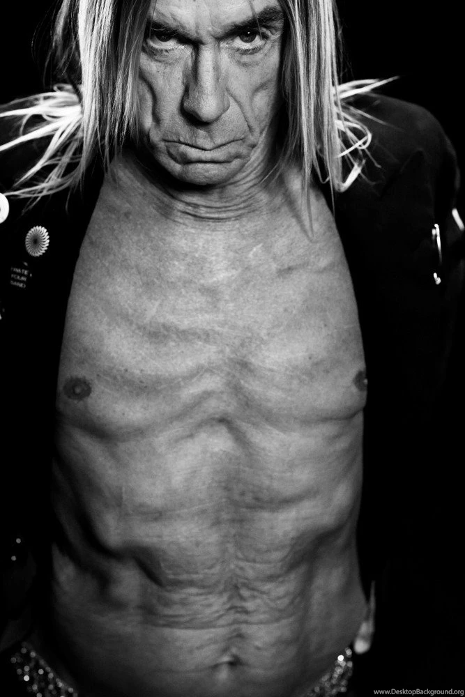Computer Iggy Pop Wallpapers, Desktop Backgrounds 667x1000px Id