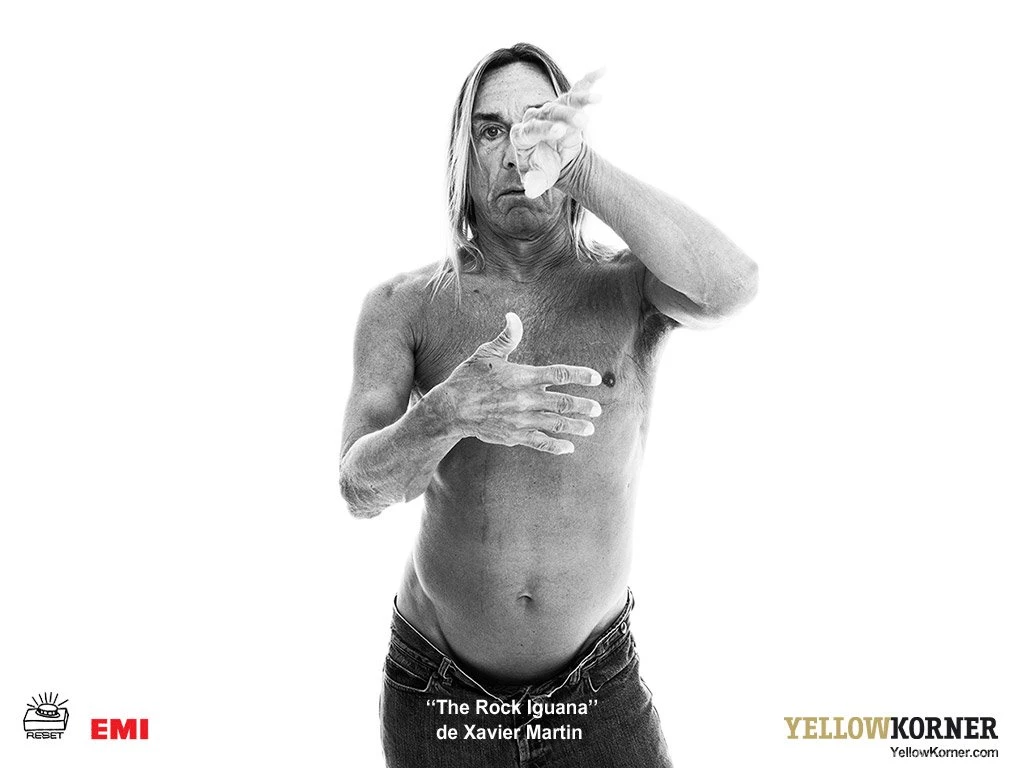 Fonds D'écran Iggy Pop Page 3