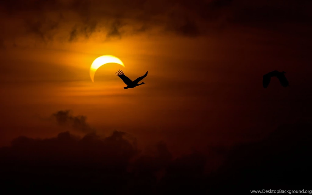 Awesome Solar Eclipse HD Wallpapers Free Download