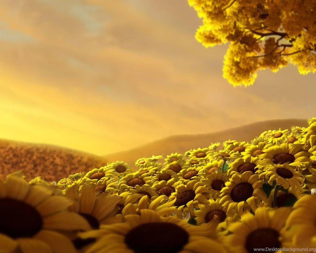 Over 100+ Beautiful Laptop Wallpapers – 2Advisor For International ...