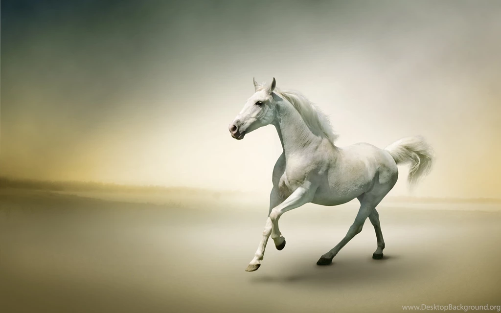 Free Horses Wallpapers Hd ~ Toptenpack.com