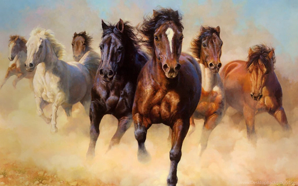 Amazing Pictures Of Horses   Wallpapers High Definition