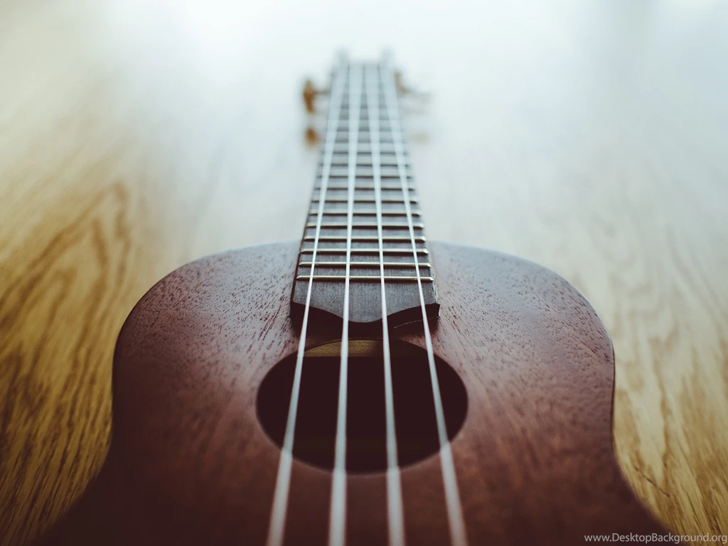 Beginner Ukulele Lessons
