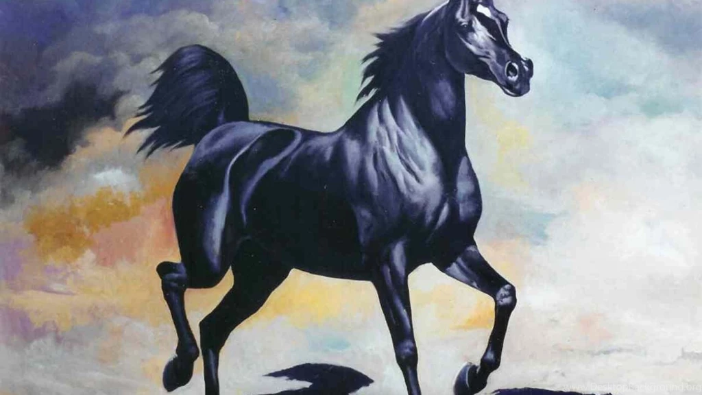 Download Arabian Horses Wallpapers Arab Black Horse (