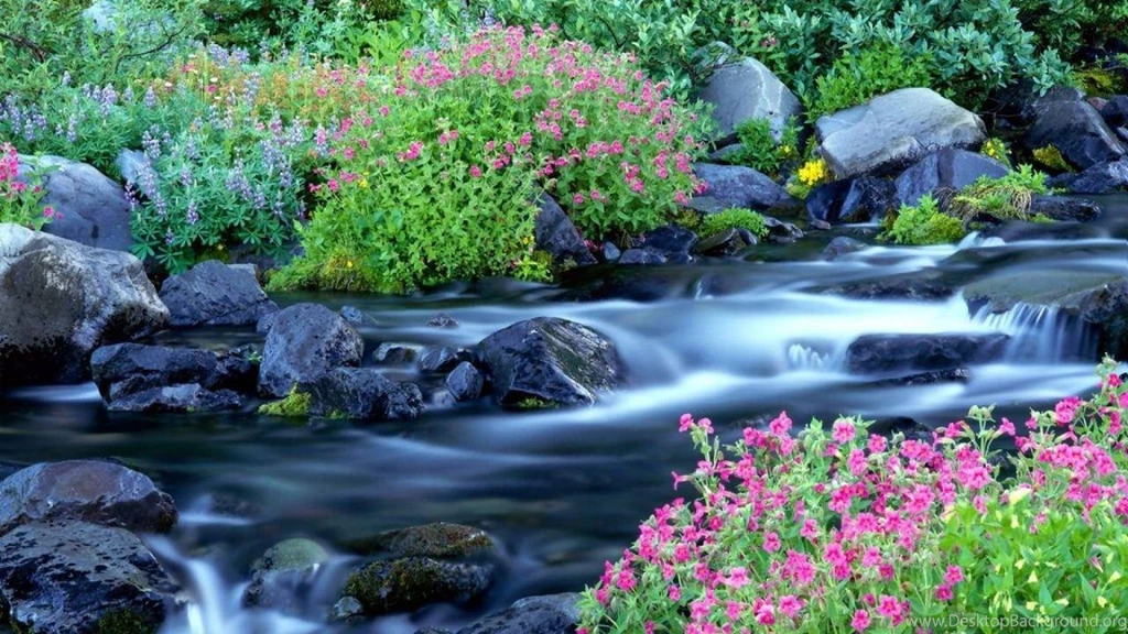 Nature Wallpapers Hd Free   Android Apps On Google Play