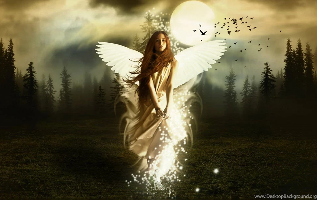 Angel Wallpapers For Android   Wallpapers Zone