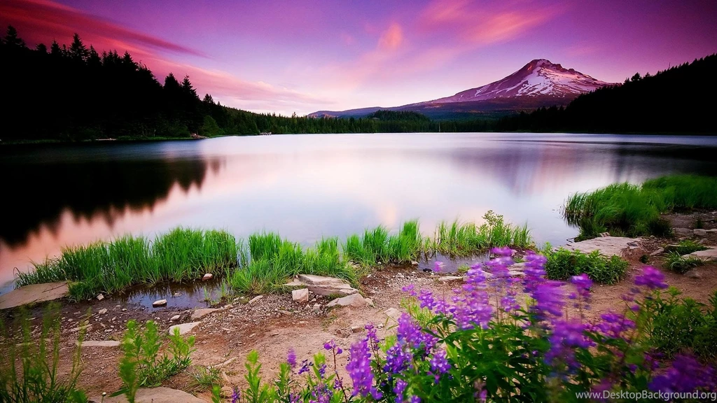 3d Nature Wallpapers
