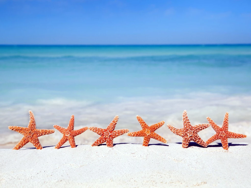 Free Wallpaper Beach 0051.jpg Movetrip