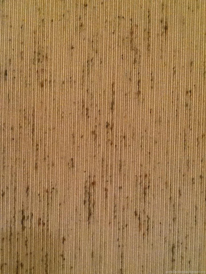 One Room Down & Wallpapers Torture