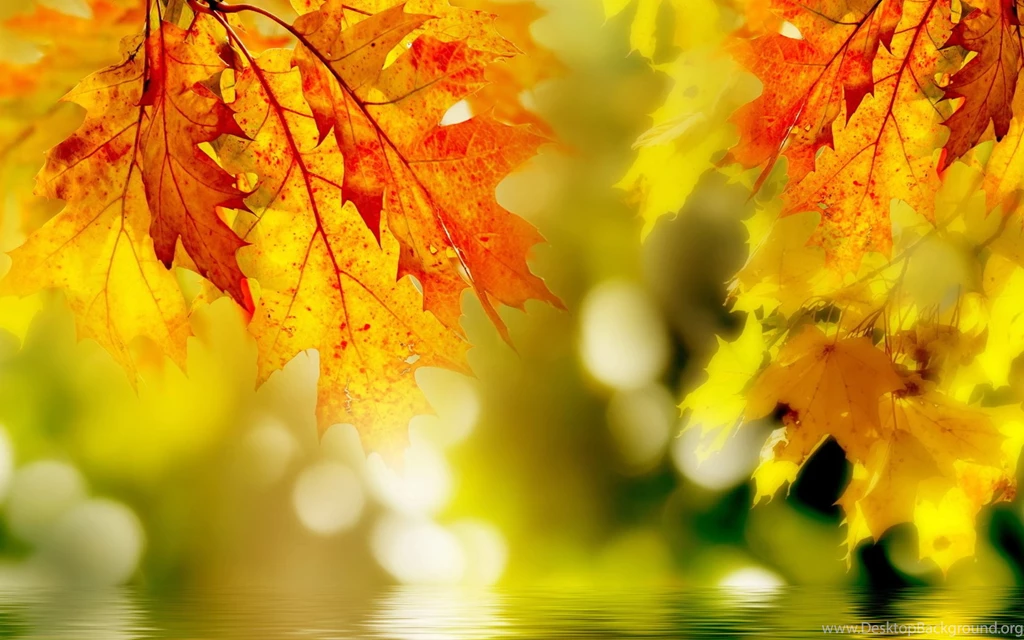 Autumn Relief By Designcrown.com Desktop Wallpapers
