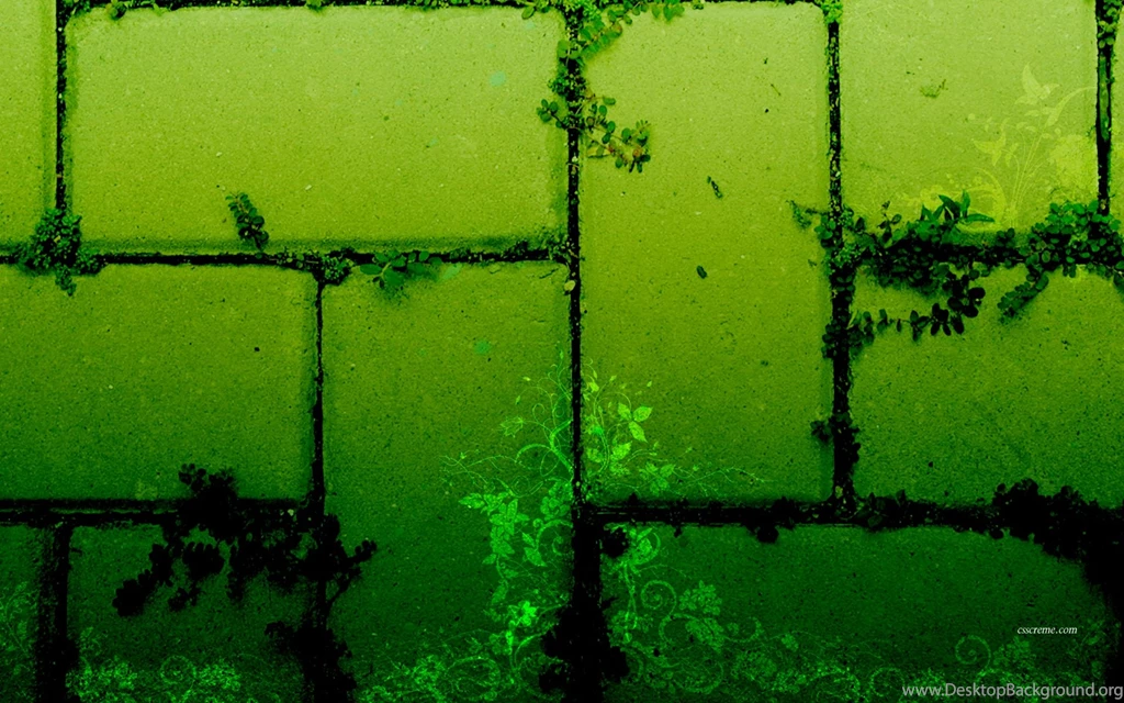 Green Wall Wallpapers And Images Wallpapers, Pictures, Photos