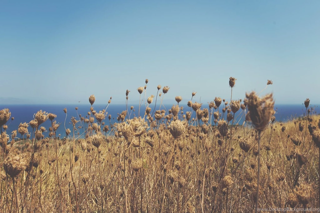 HD Spring Wallpapers Android Apps On Google Play