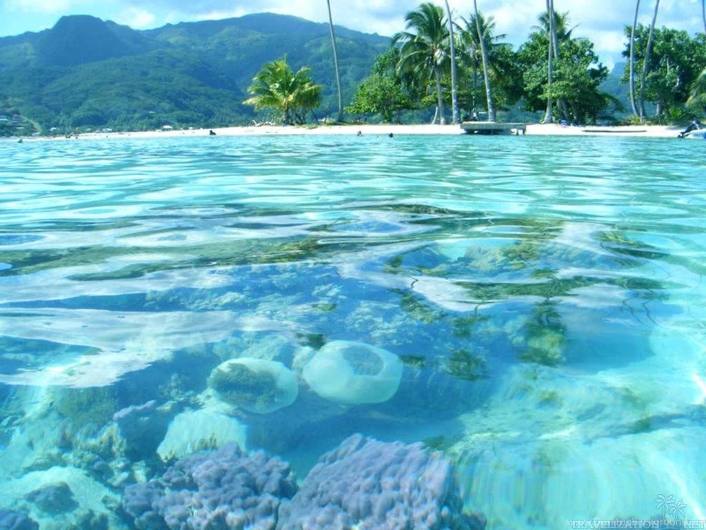 Wallpapers Beach Fun Free Tahiti 1024x768