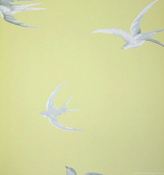 Wallpapers Featuring Birds