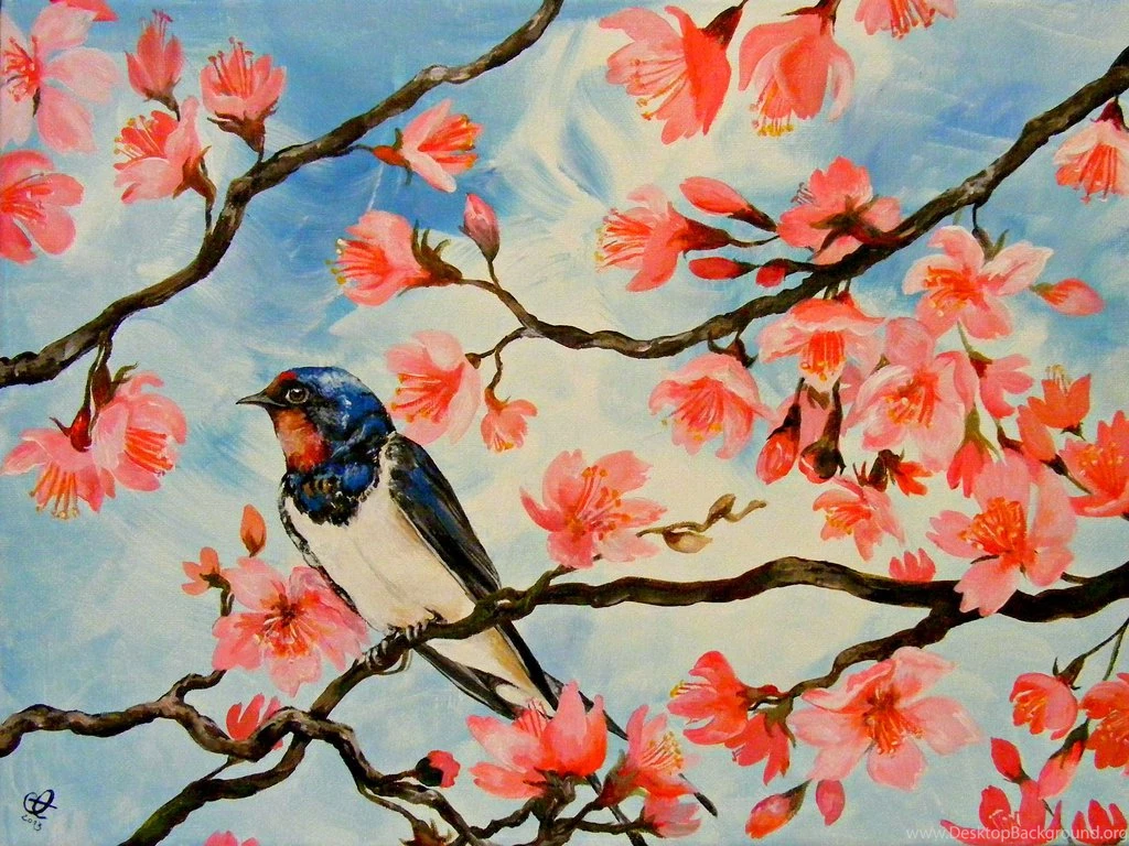 Cherry Blossoms And Swallow By Tantchen Lulu On DeviantArt