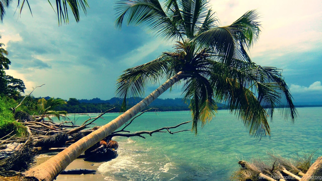 2560x1440 Coast, Landscape, Island, Nature, Palma, Beach, Beach ...