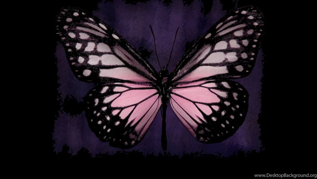 Wallpapers Butterfly Pink All Wallpapers New