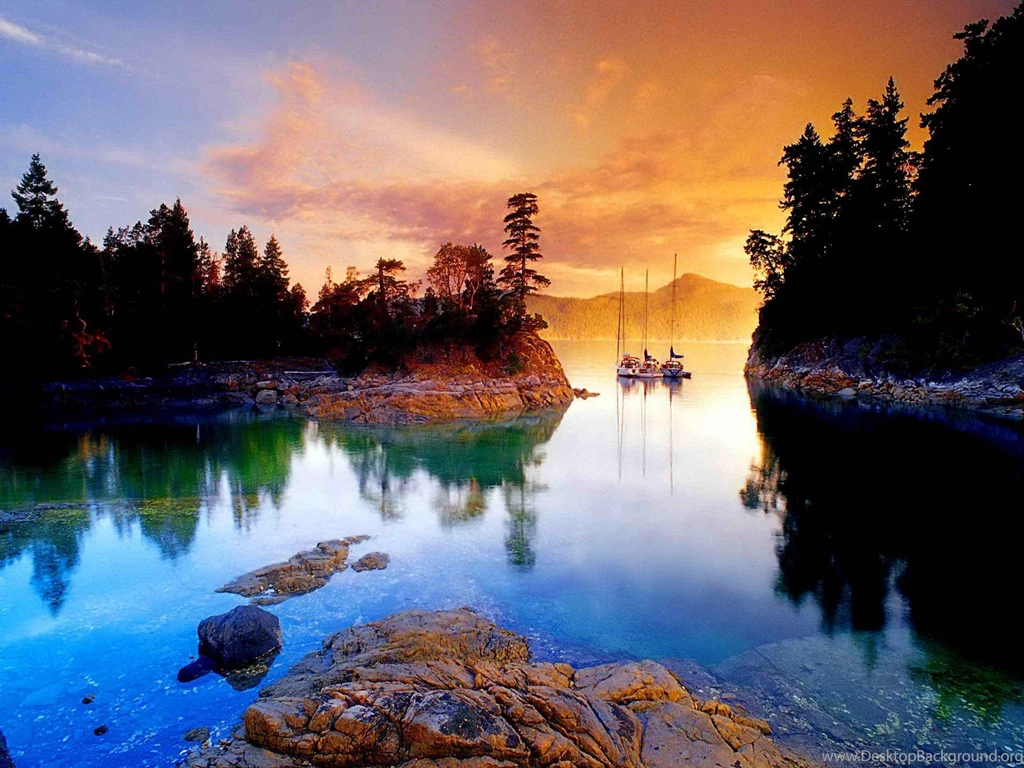 Golden Full HD Wallpapers Search Page 6