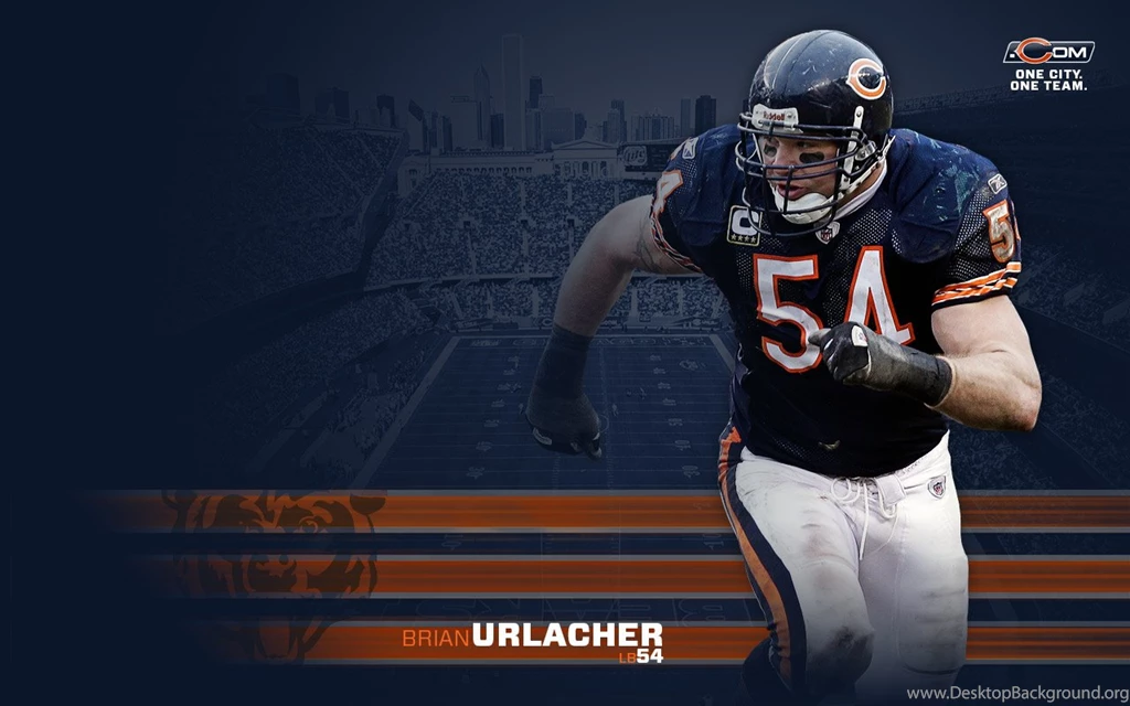 Chicago Bears