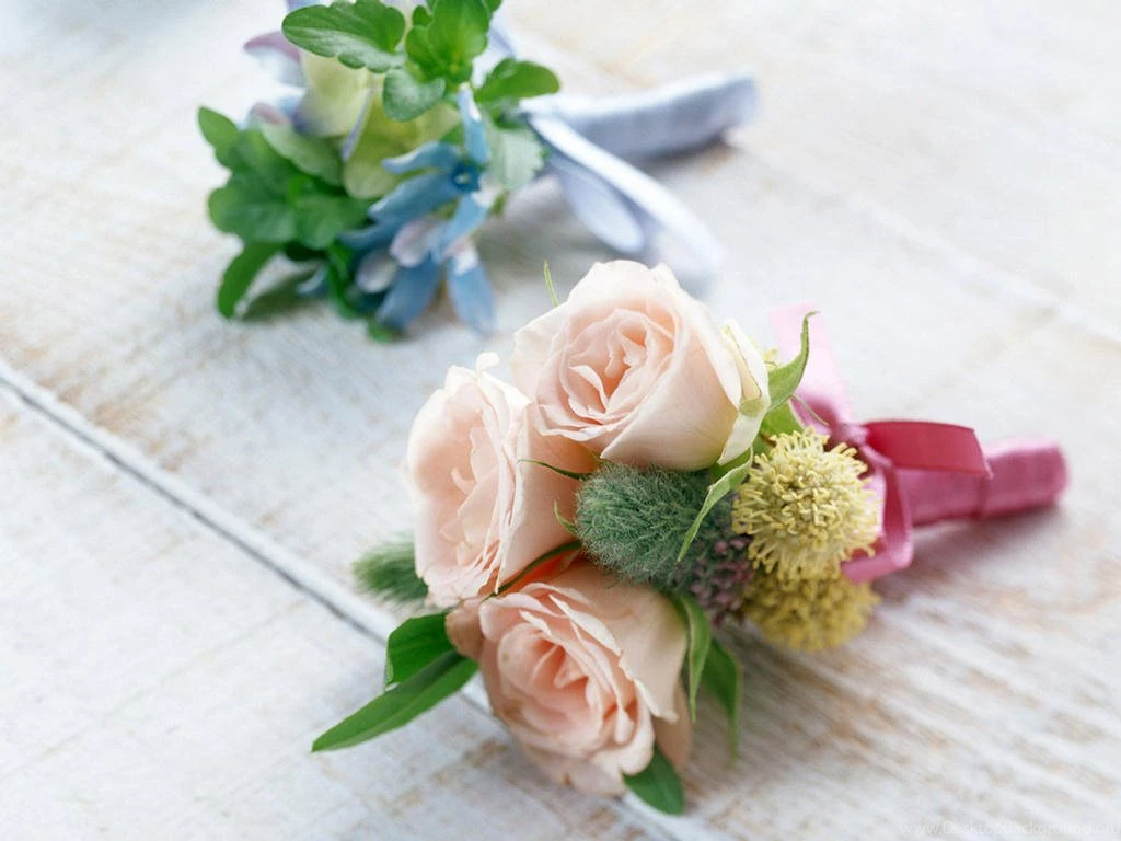 Lovely Flower Wallpapers
