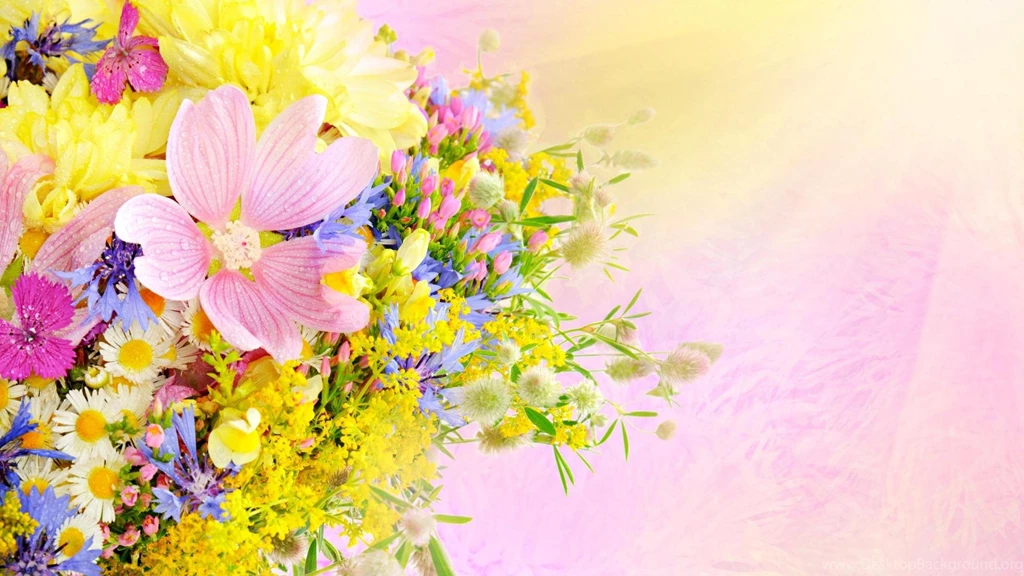 Lovely Flowers Wallpapers (