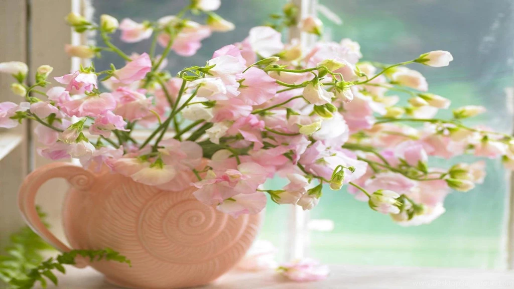 Spring Flowers Wallpapers Hd Wallpapers Inn